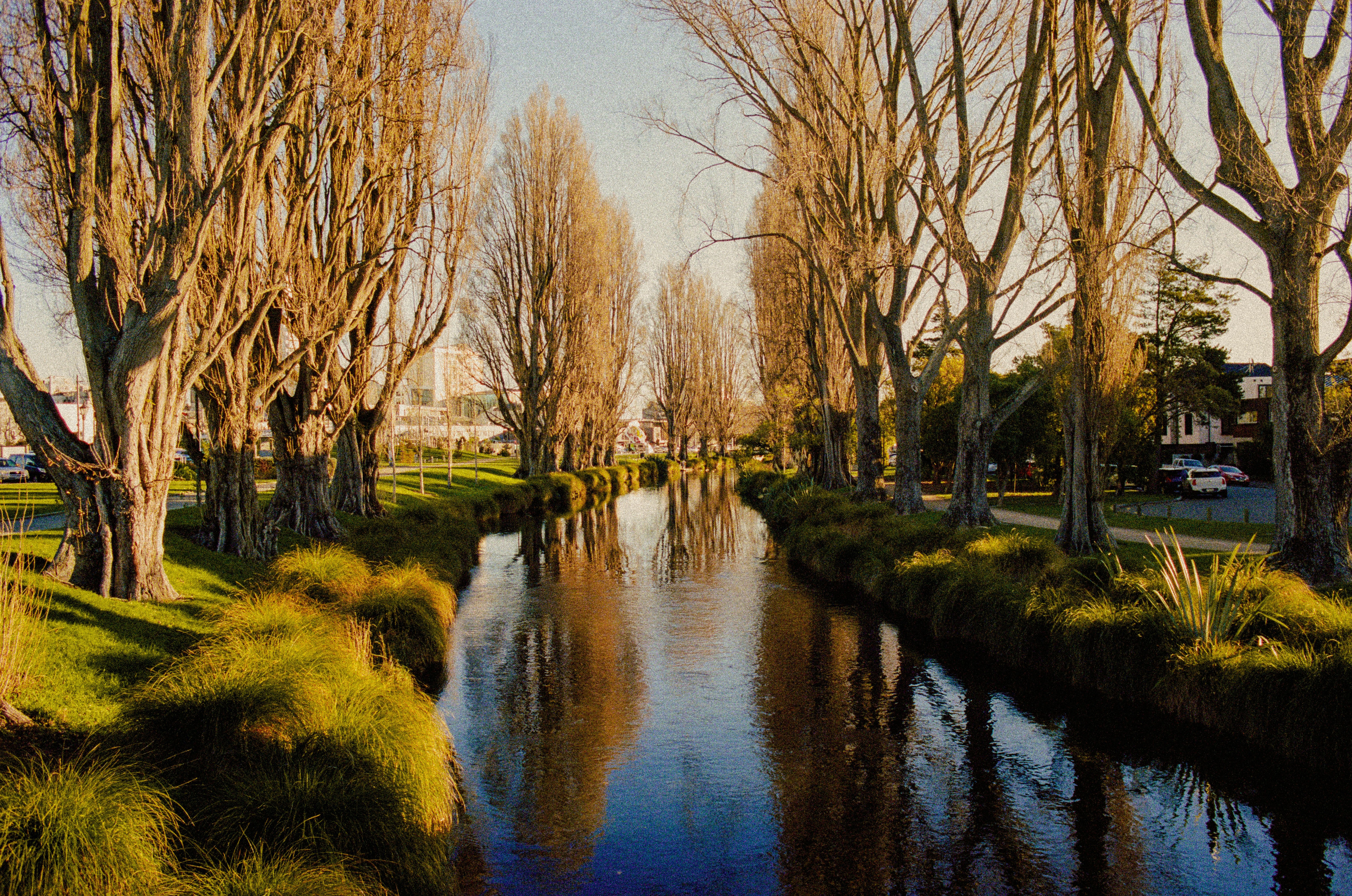 Calm river and trees at dusk